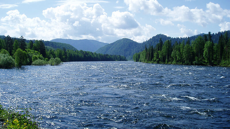 Картинка 80% водоемов в России загрязнены