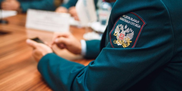 Фото К нам едет ревизор: кто может нагрянуть с проверкой? Картинка К нам едет ревизор: кто может нагрянуть с проверкой?