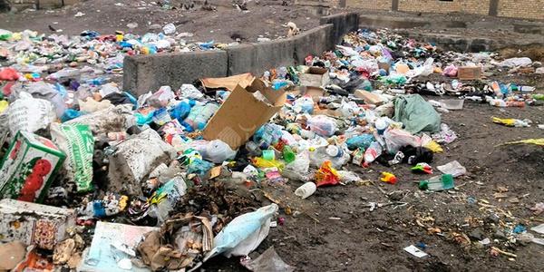 В Подмосковье обнаружено почти 400 нарушений порядка обращения с отходами