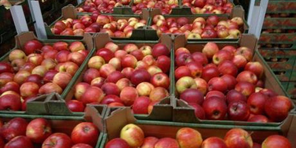 Фото Россельхознадзор вернул на Украину более 700 тонн продуктов Картинка Россельхознадзор вернул на Украину более 700 тонн продуктов