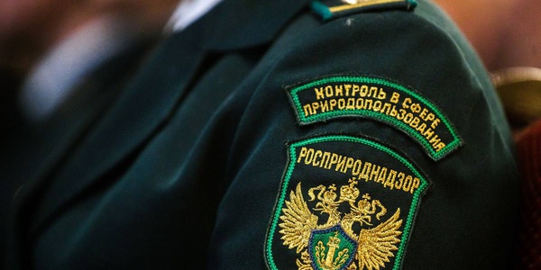 В Росприроднадзоре появился новый руководитель