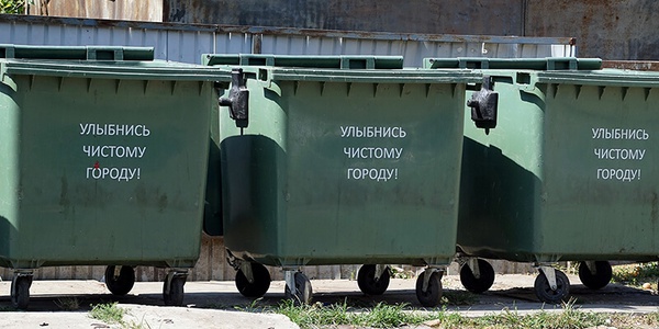 Подведены первые итоги года экологии в России