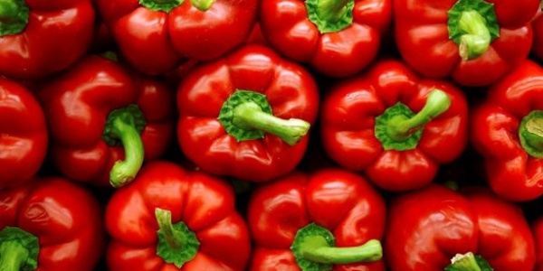 Фото Болгарские продукты под запретом в России Картинка Болгарские продукты под запретом в России
