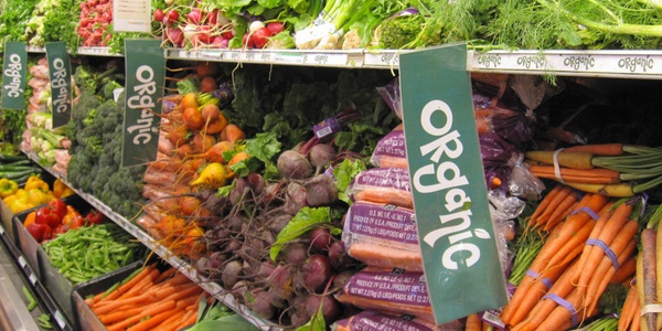 Фото Российские производители органической продукции опасаются проиграть конкуренцию зарубежным поставщикам Картинка Российские производители органической продукции опасаются проиграть конкуренцию зарубежным поставщикам