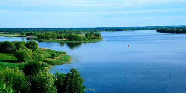 Картинка В Нижегородской области разрабатывают программу оздоровления Волги