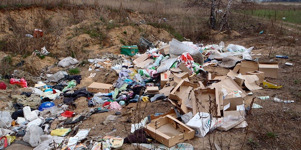 Фото В Саратовской области за год выявлено более 500 незаконных свалок Картинка В Саратовской области за год выявлено более 500 незаконных свалок