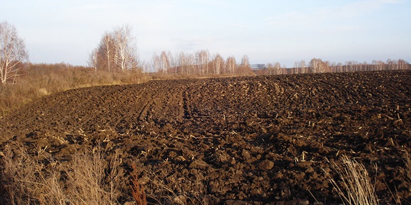 Картинка В России сертифицированы как органические менее 1% сельскохозяйственных земель
