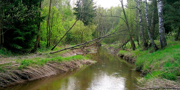 Картинка Проблему обеспечения качества питьевой воды в Московской области могут начать решать при помощи экологических фондов