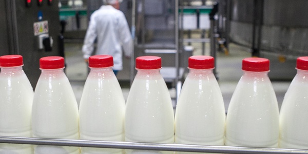Фото В России вводится маркировка молочных продуктов Картинка В России вводится маркировка молочных продуктов