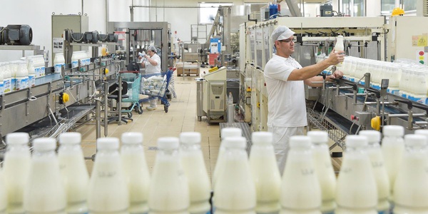 Фото Производители молочной продукции не готовы к электронной ветеринарной сертификации Картинка Производители молочной продукции не готовы к электронной ветеринарной сертификации
