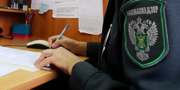 Электронная система ветсертификации подверглась хакерской атаке