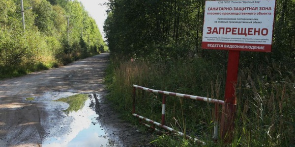 Фото Финские экологи помогут с очисткой «Красного Бора» Картинка Финские экологи помогут с очисткой «Красного Бора»