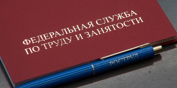 Более 35% жалоб в Роструд составляют нарекания по охране труда