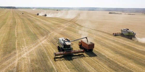Фото Аграрии предлагают ввести переходный период для закона об органической продукции Картинка Аграрии предлагают ввести переходный период для закона об органической продукции