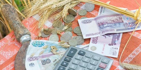 Фото Севастополь модернизирует сельскохозяйственную отрасль Картинка Севастополь модернизирует сельскохозяйственную отрасль