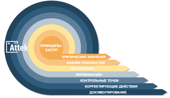 принципы хаспп