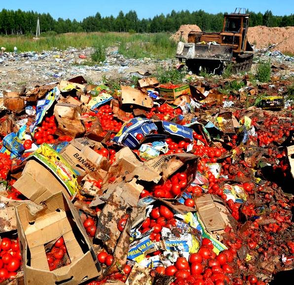 Картинка ОЗПП не получило ответа от Верховного суда РФ на вопрос об уничтожении санкционной продукции