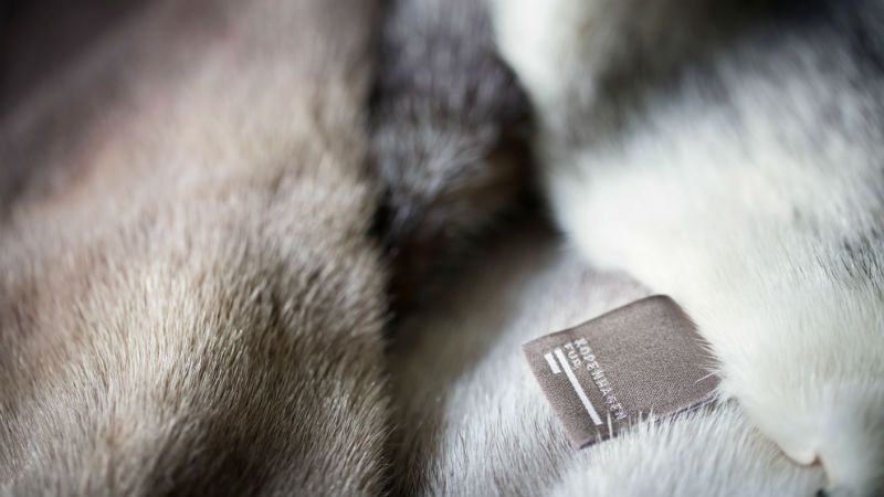 Картинка Проект маркировки меховых товаров перенесен