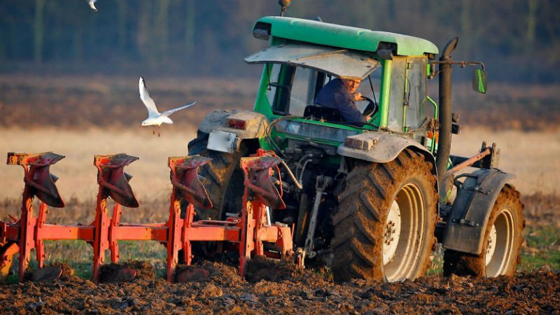 Картинка Новые правила охраны труда в сельском хозяйстве