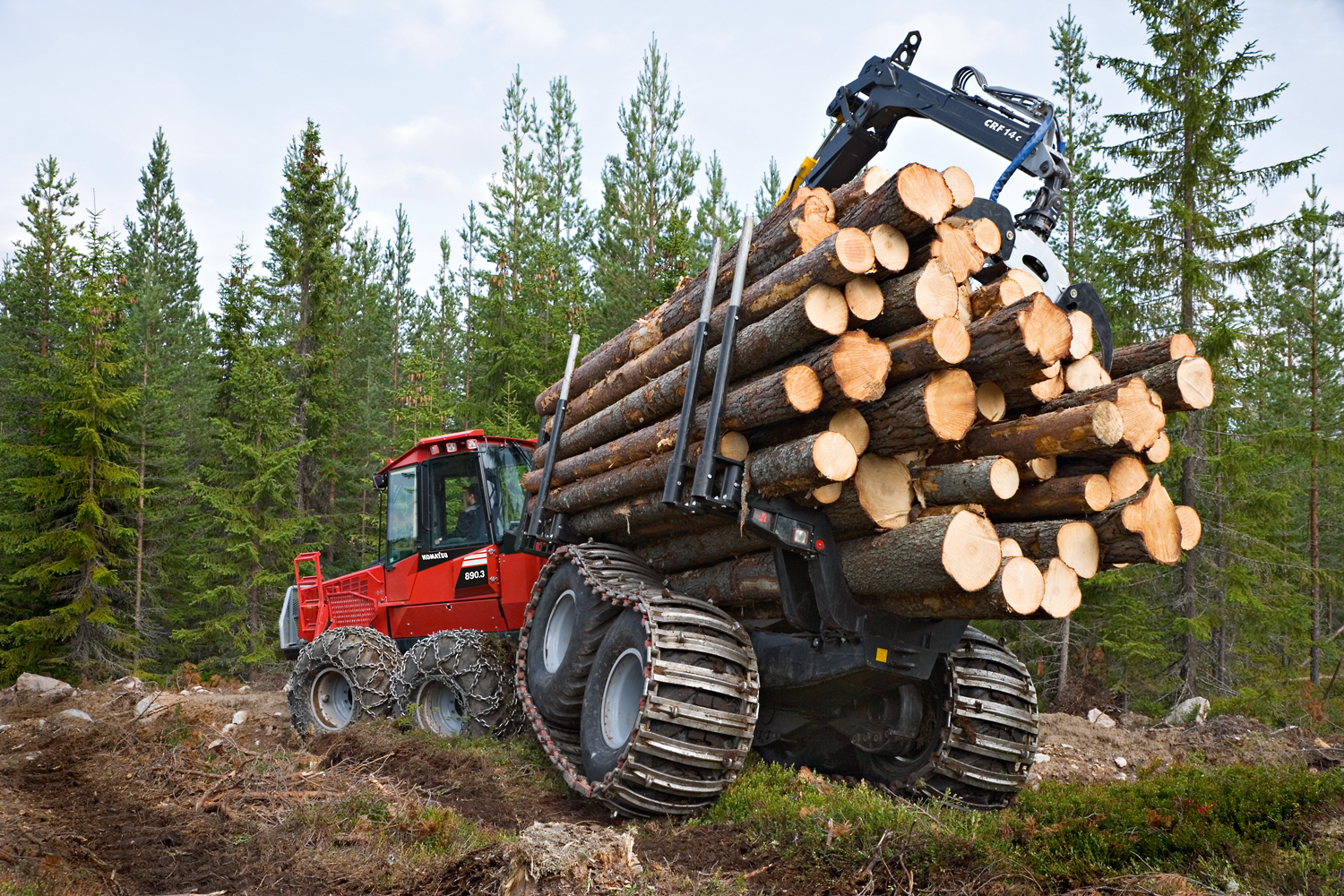 Картинка Новые правила по охране труда в лесозаготовительном производстве