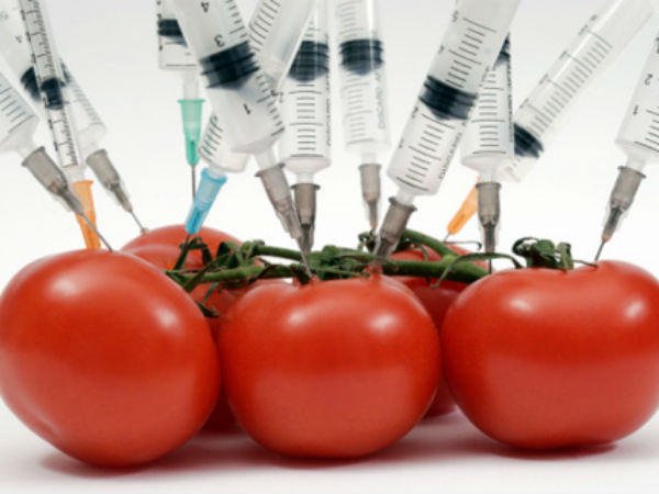 Картинка Производство и ввоз ГМО-продукции попали под запрет