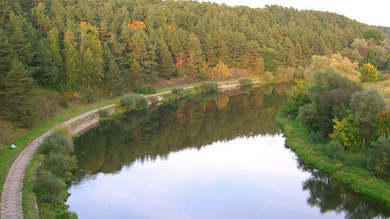 Картинка В Подмосковье проверят экологическое состояние малых рек
