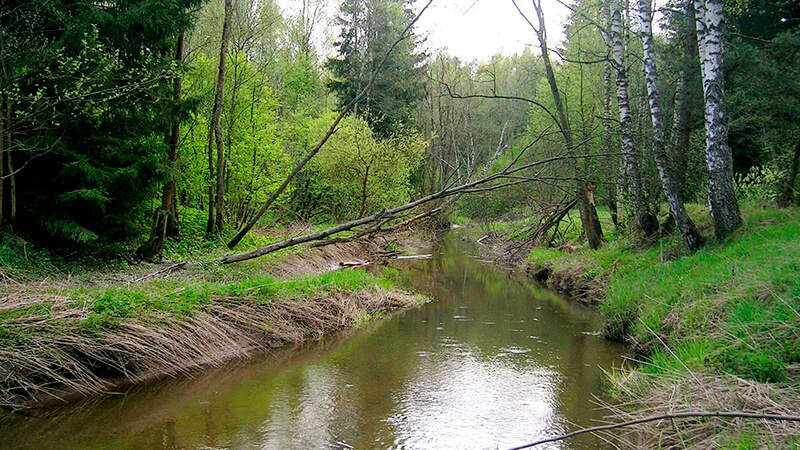Картинка Проблему обеспечения качества питьевой воды в Московской области могут начать решать при помощи экологических фондов