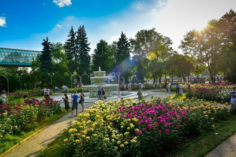 Картинка На Северо-Западе Москвы появятся новые парки
